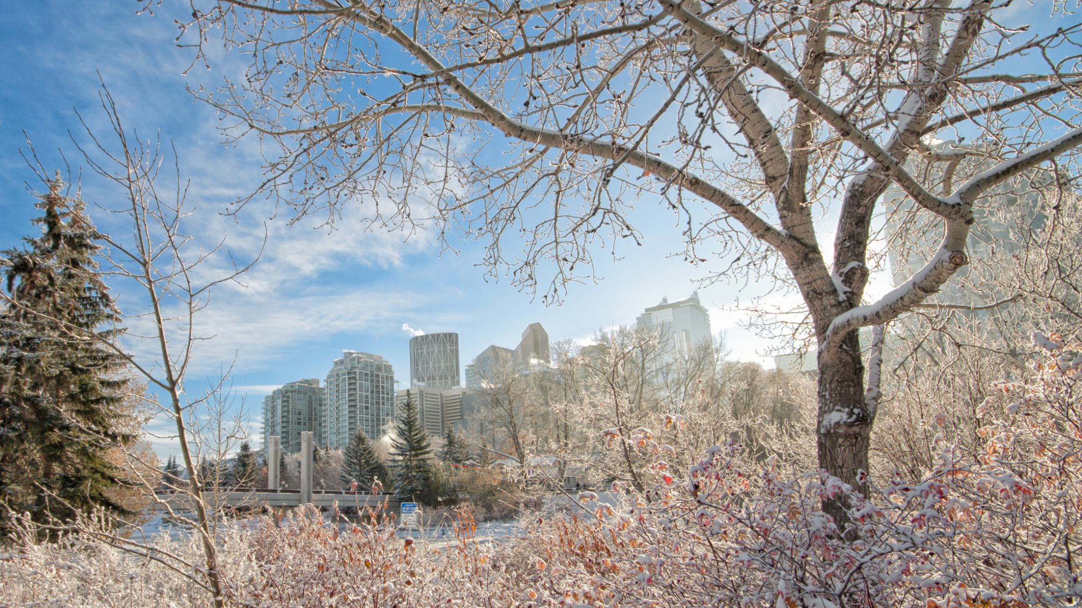 Calgary’s Downtown Condo Market: Why Investing in Winter Can Yield Spring Returns