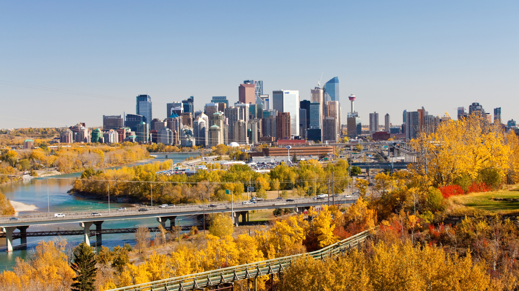 Forecasting 2025: What Fall 2024 Pre-Construction Trends Tell Us About the Future of Calgary Real Estate